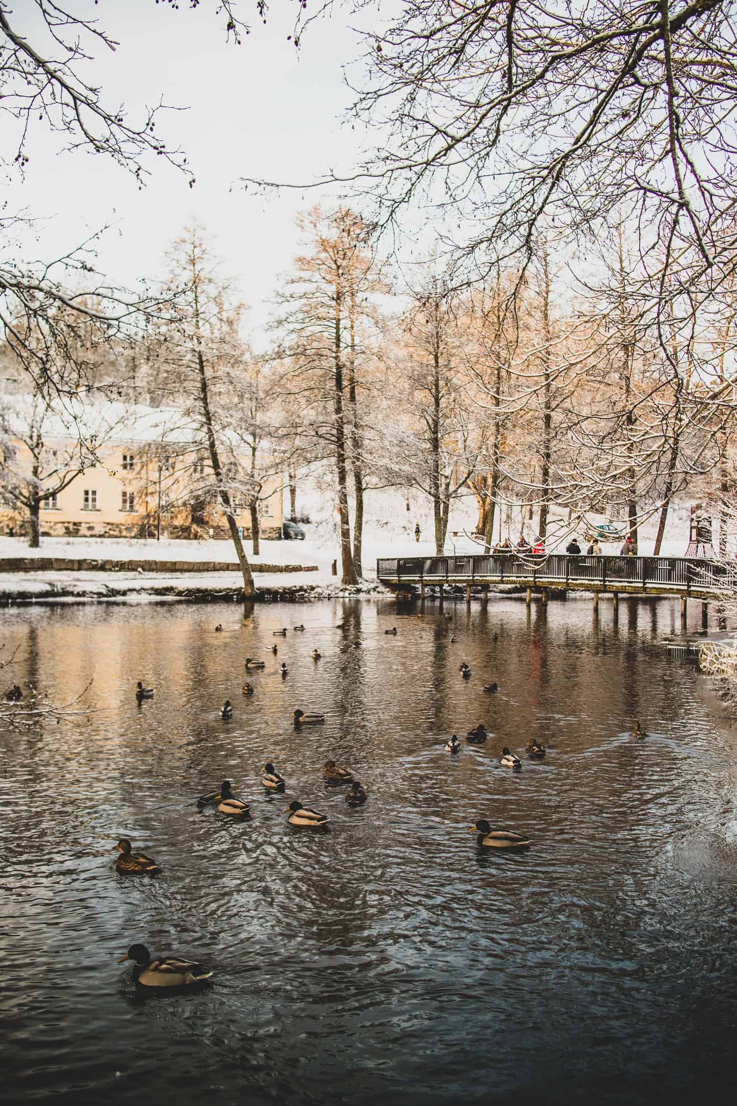 Day trip to a winter wonderland: Fiskars Village - KATHRIN DETER