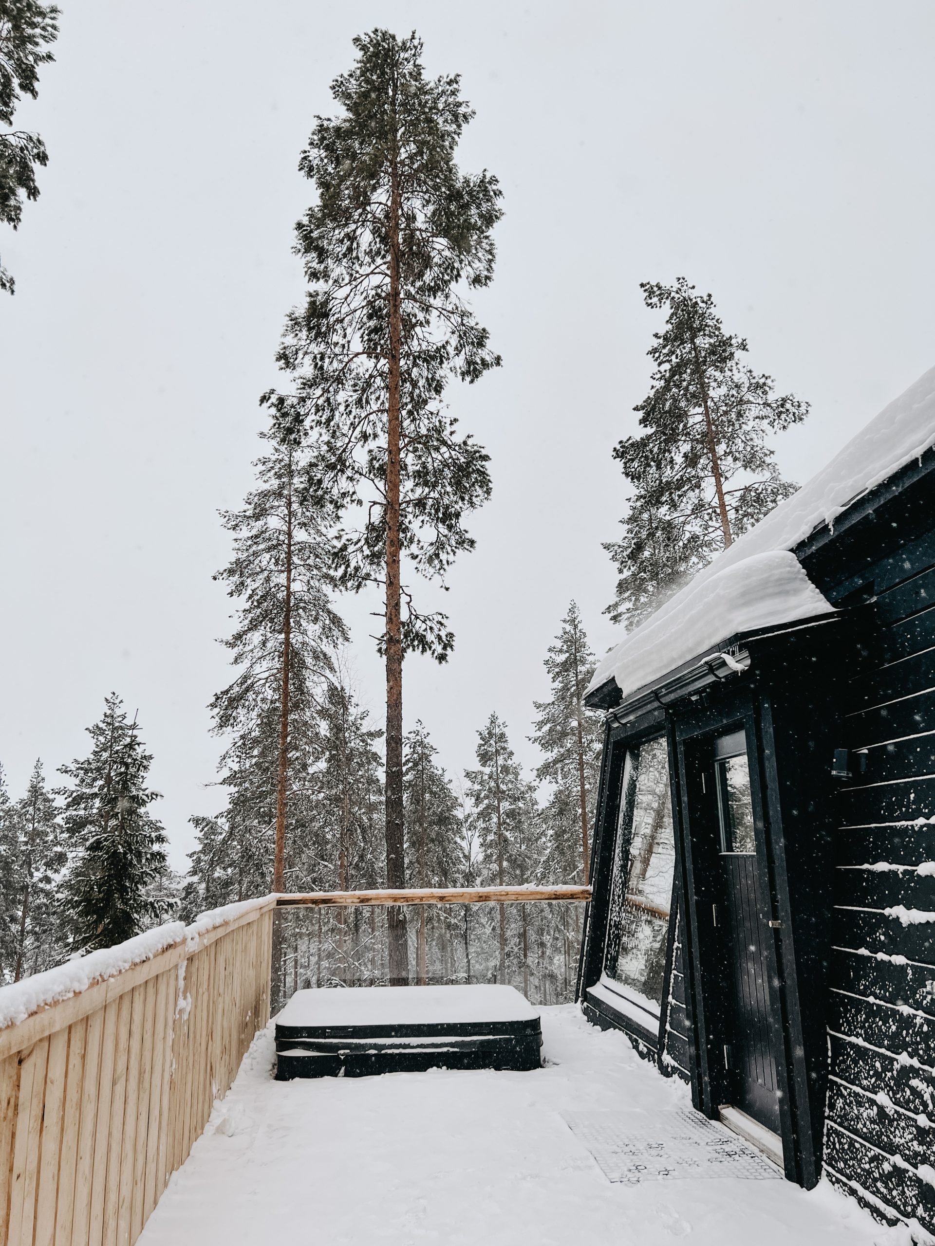 Nature & Winter Wellness in the Saimaa Lakeland - KATHRIN DETER