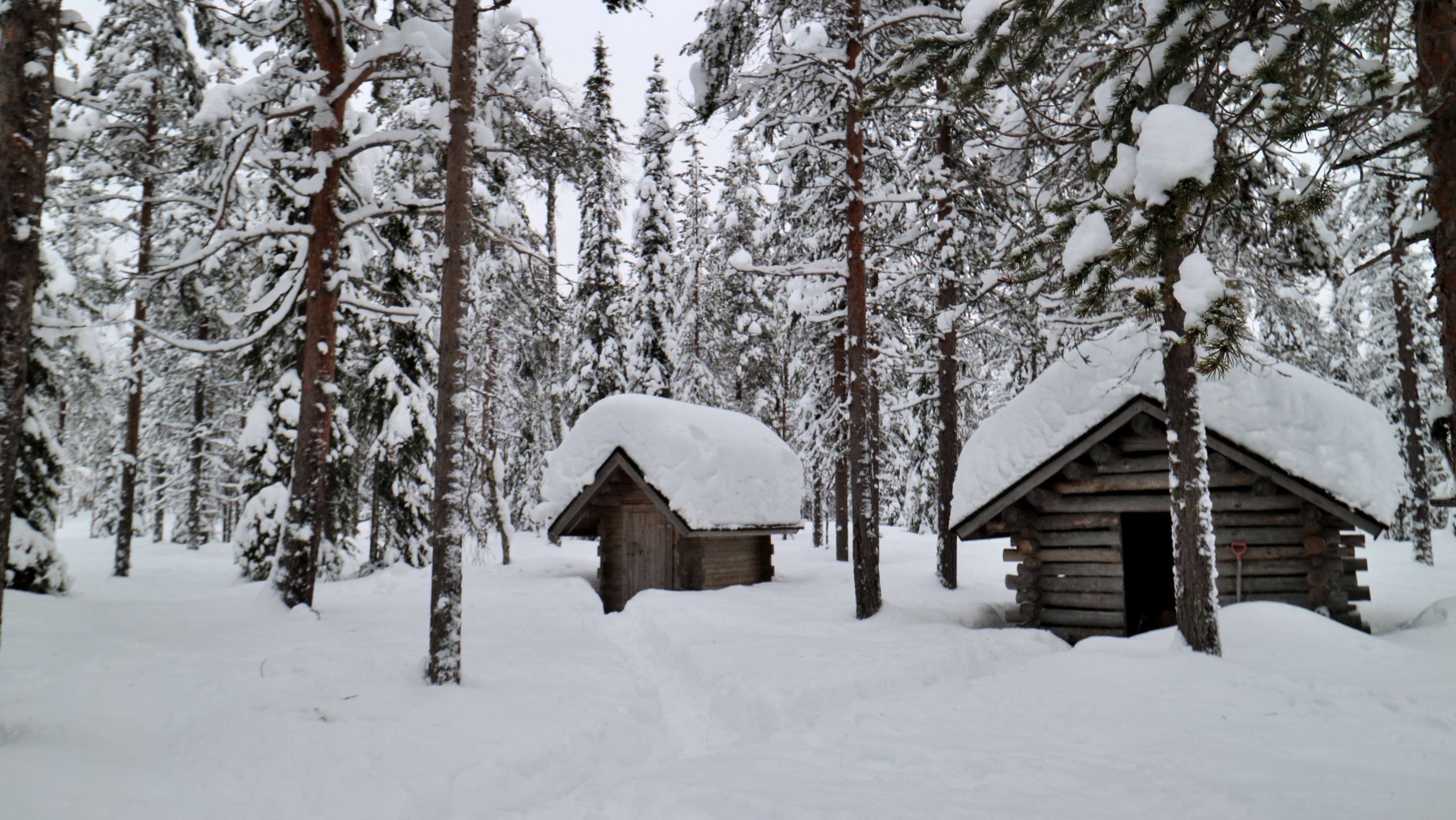 Lapland Getaway: Luosto - KATHRIN DETER