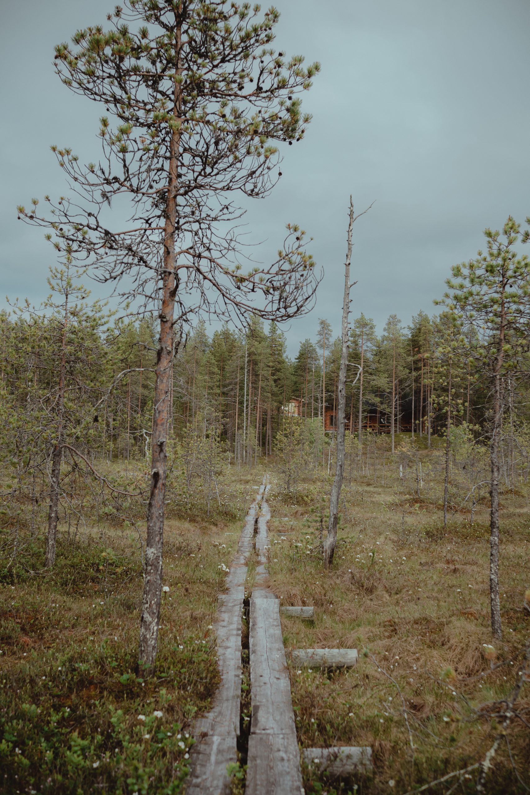 Summer in Ruka-Kuusamo: Midnight sun & Wilderness magic